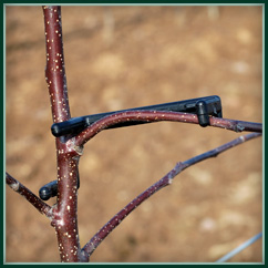 Astfix 2 Branch Bender