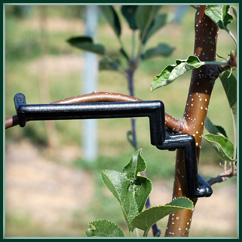 Astfix 3 Branch Bender