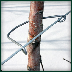 U-Hook Tree Holder